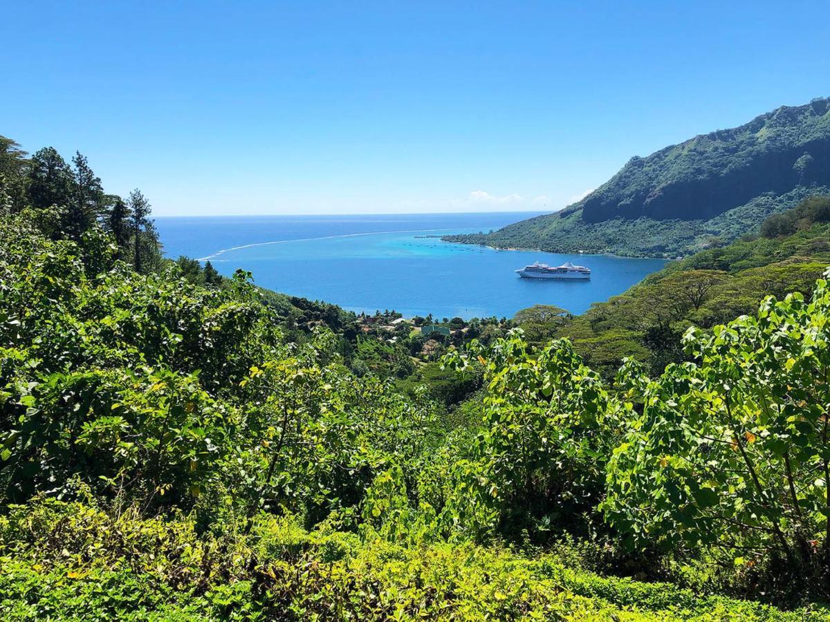 Fare To'Erau & Mara'Amu Vila Papetoai Exterior foto